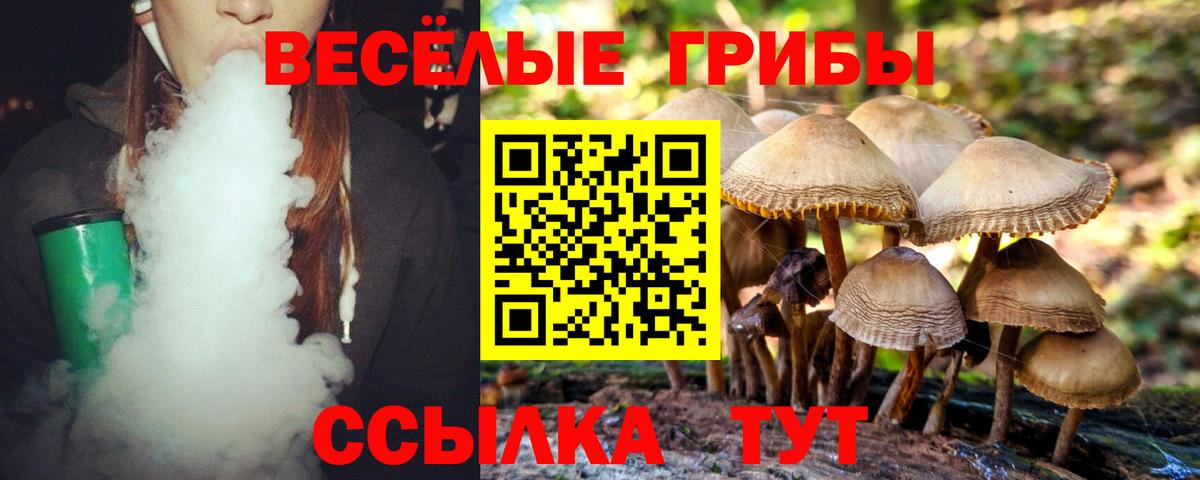 Псилоцибиновые грибы Psilocybine cubensis Лыткарино