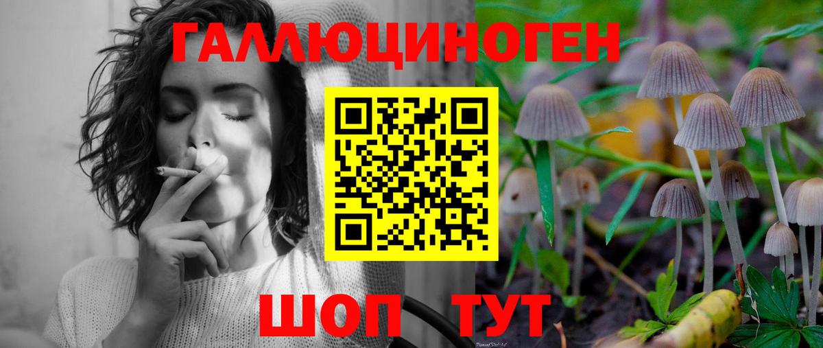 Псилоцибиновые грибы мицелий  Вход с VPN  Лыткарино 